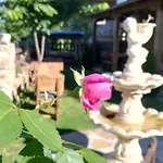 בית הארחה семеен скендерова къща