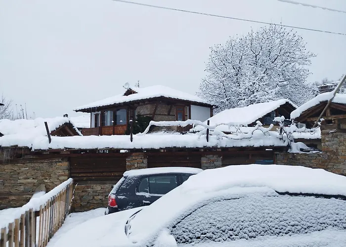 Семеен Хотел Скендерова Къща ゲストハウス