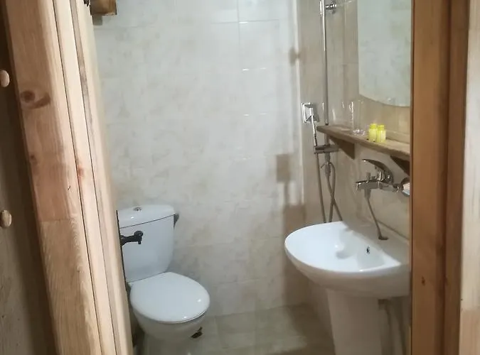 ゲストハウス Семеен Хотел Скендерова Къща レシテン